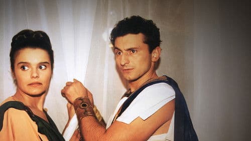 Curious Donkey poster