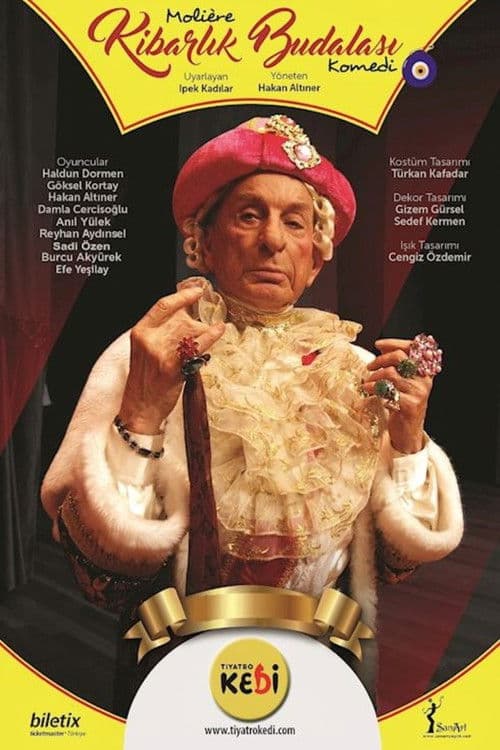 Kibarlık Budalası poster