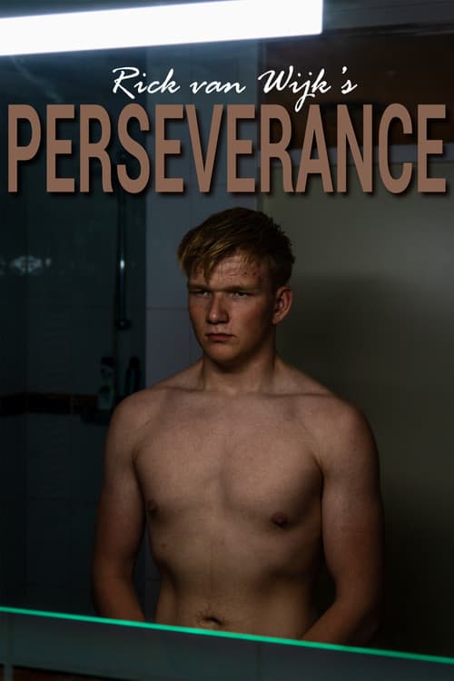 Perseverance poster