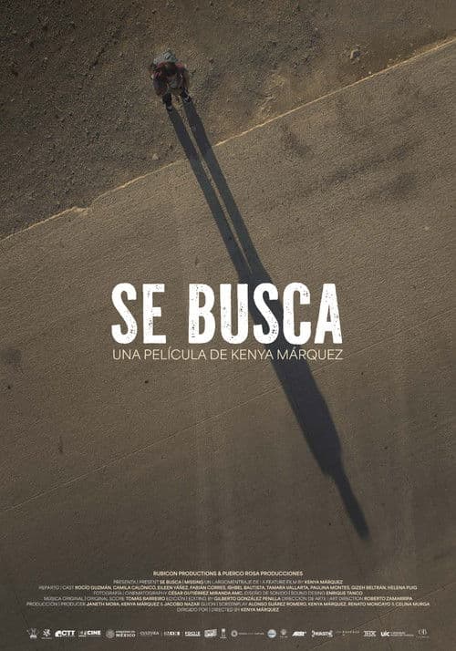 Missing poster
