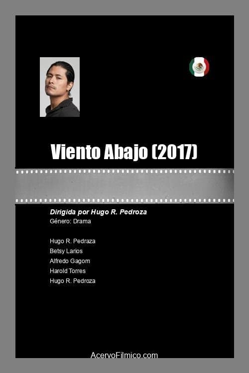 Viento abajo poster