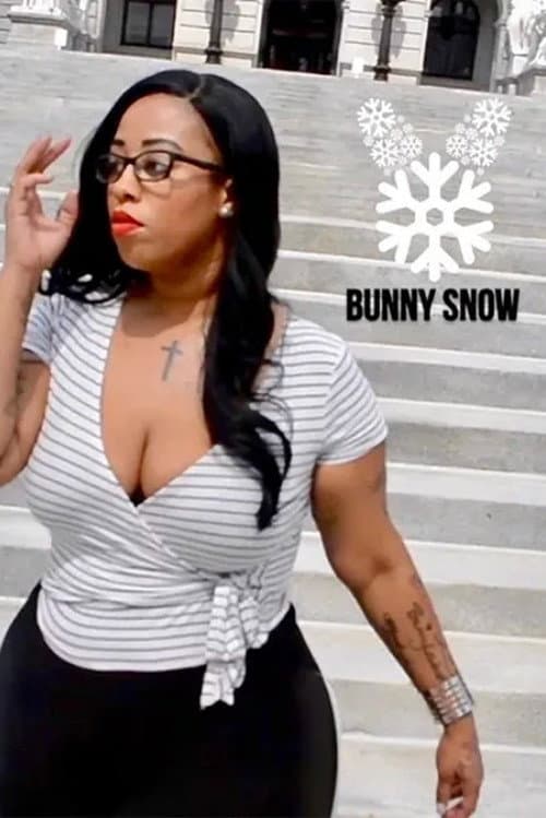 Bunny Snow poster