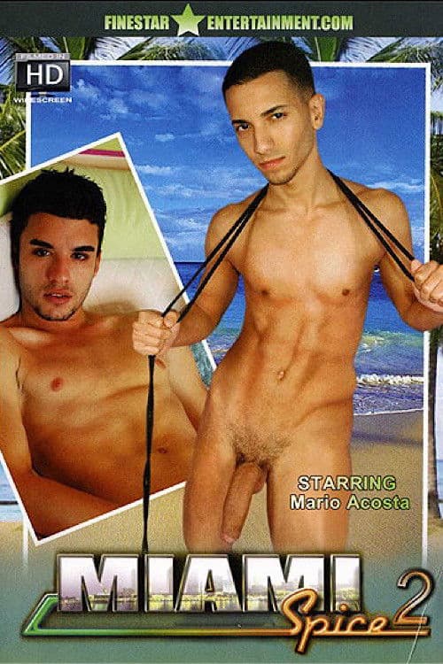 Miami Spice 2 poster