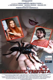 L'amante perfetta poster