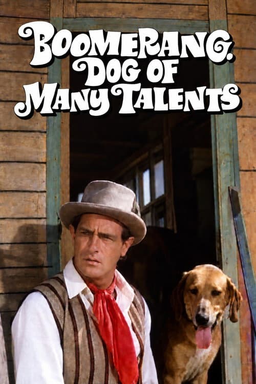 Boomerang, Dog of Many Talents poster