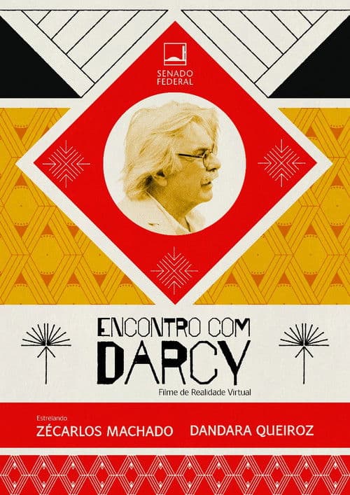 Encontro com Darcy (VR) poster