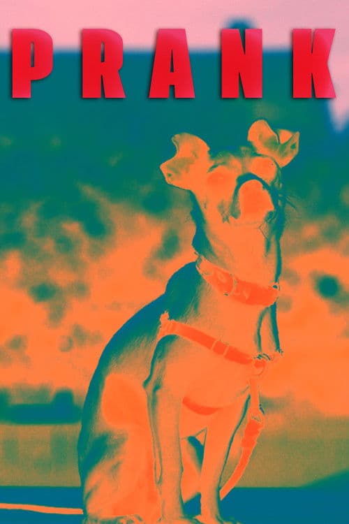 Prank poster