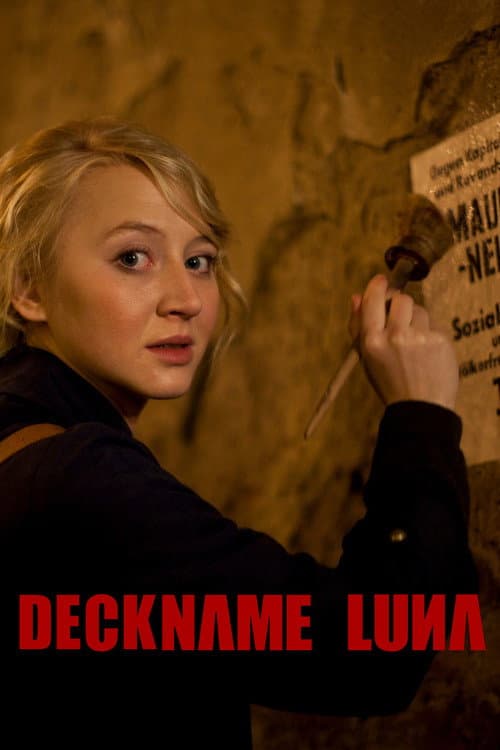 Deckname Luna poster