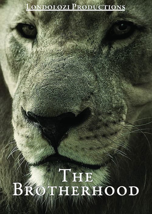 The Brotherhood poster