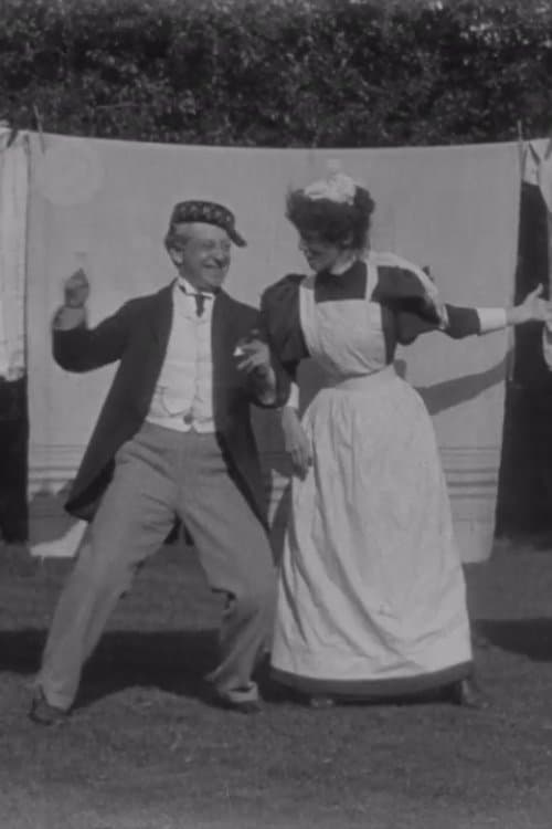 Hanging Out the Clothes poster