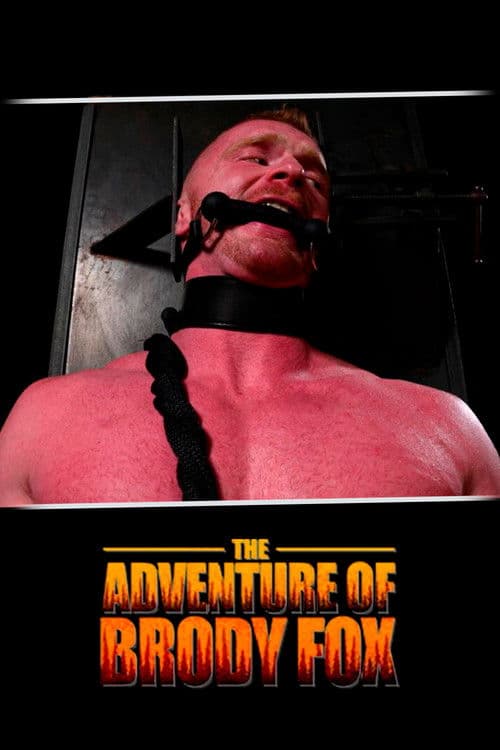 The Adventure of Brody Fox poster