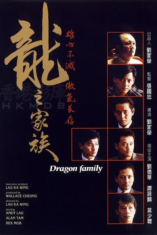 The Dragon Family poster