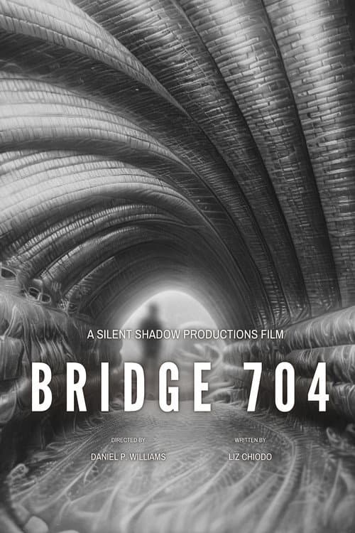 Bridge 704 poster