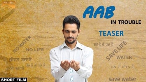AAB - Punjabi poster