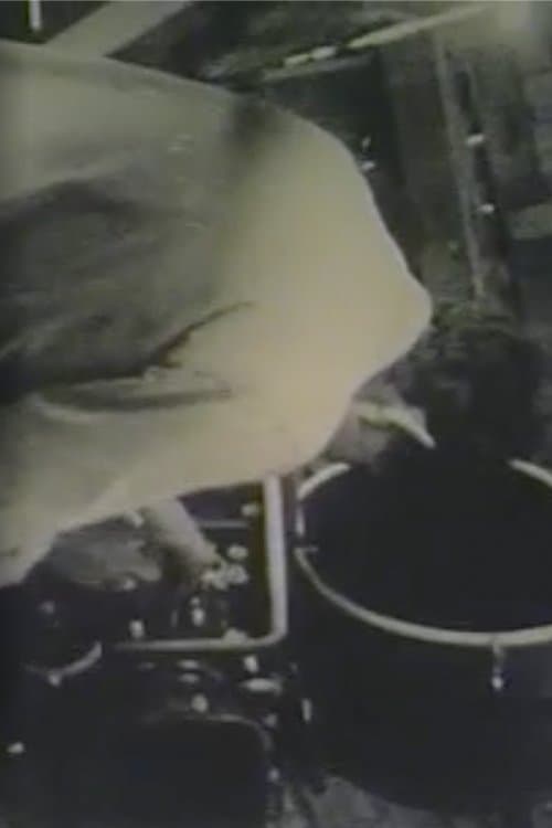 Robert Frank Films poster