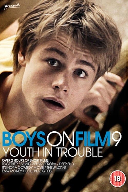 Boys On Film 9: Youth in Trouble poster