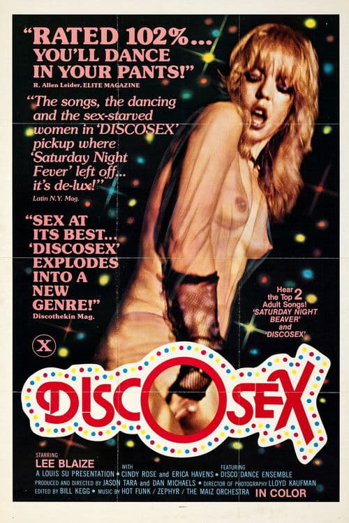 Disco Sex poster