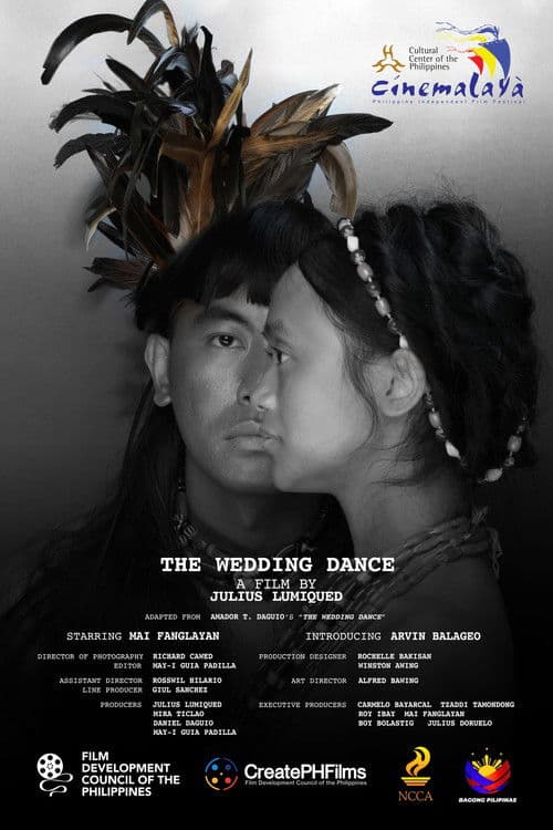 The Wedding Dance poster