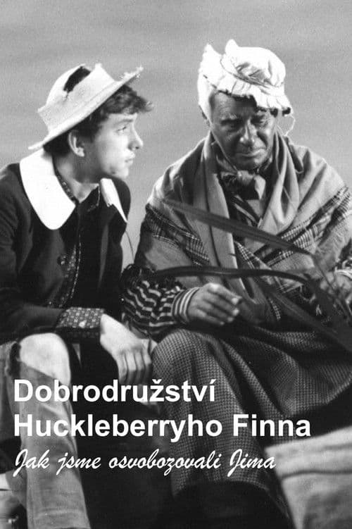 Dobrodružství Huckleberryho Finna - Jak jsme osvobozovali Jima poster