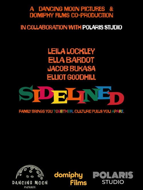 Sidelined poster