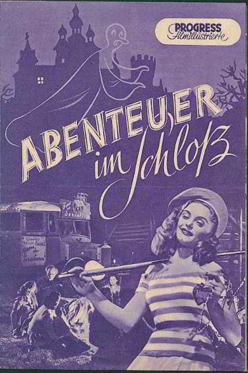 Adventure in the Castle poster