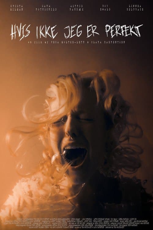 Without Perfection poster