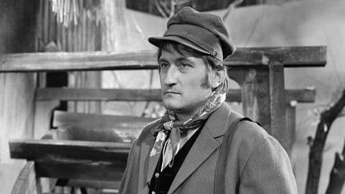 Nejsem chmýrko na bodláku poster