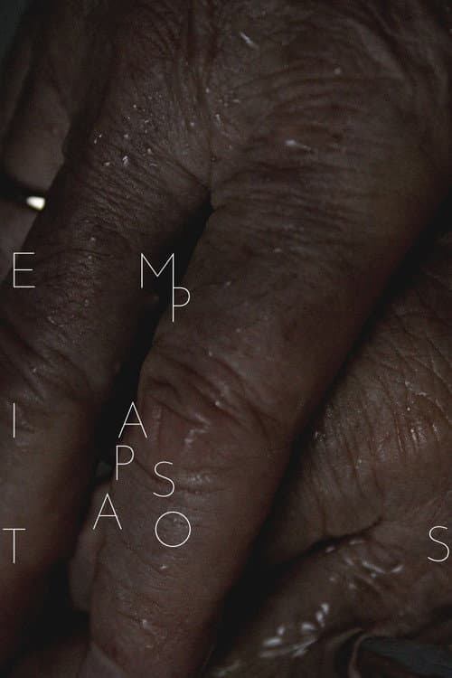 Pasatiempos poster