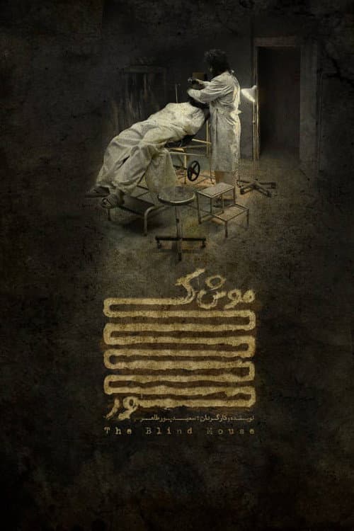 The Blind Mouse poster