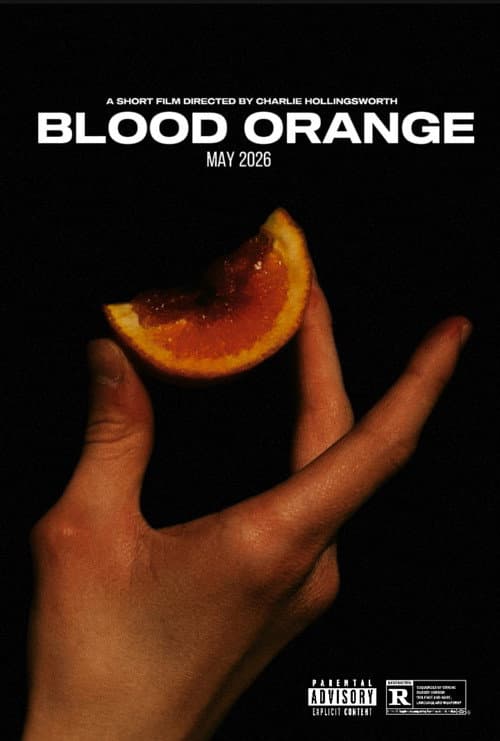 Blood Orange poster