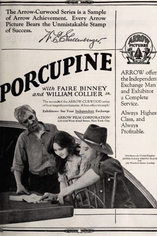 The Girl from Porcupine poster