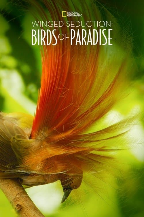 Winged Seduction: Birds of Paradise poster