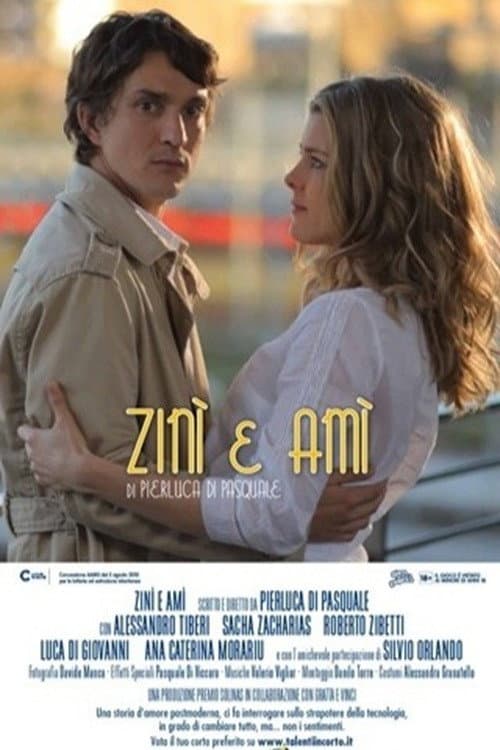 Zinì e Amì poster