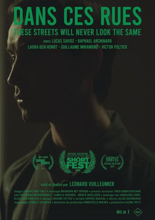 These Streets Will Never Look the Same poster