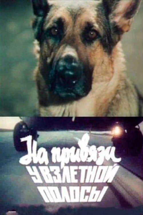 Tethered to the Runway poster