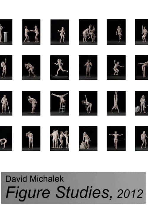 Figure Studies poster