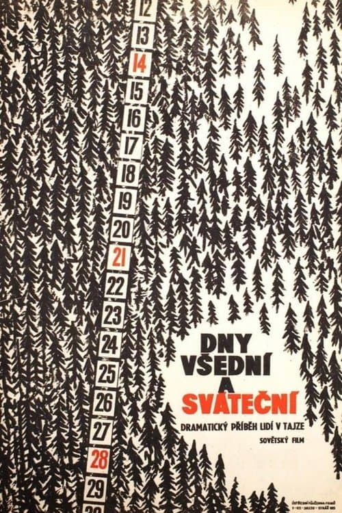 Weekdays and Holidays poster