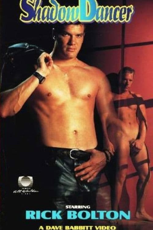 Shadow Dancer poster