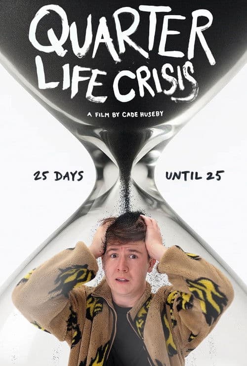 Quarter Life Crisis poster