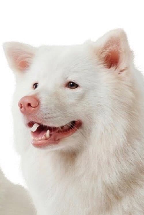 Meechok profile photo