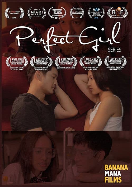 Perfect Girl poster