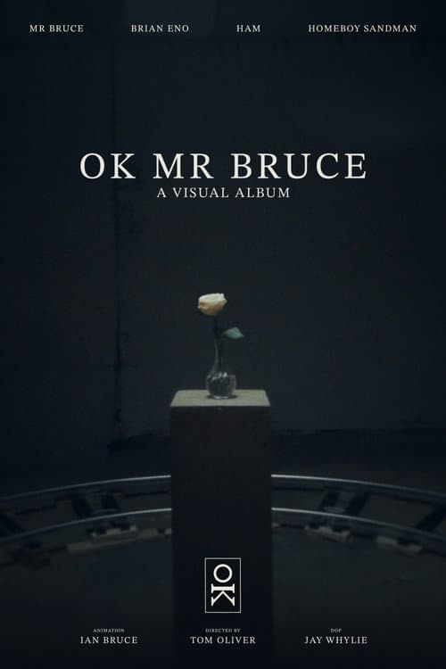 OK MR BRUCE poster
