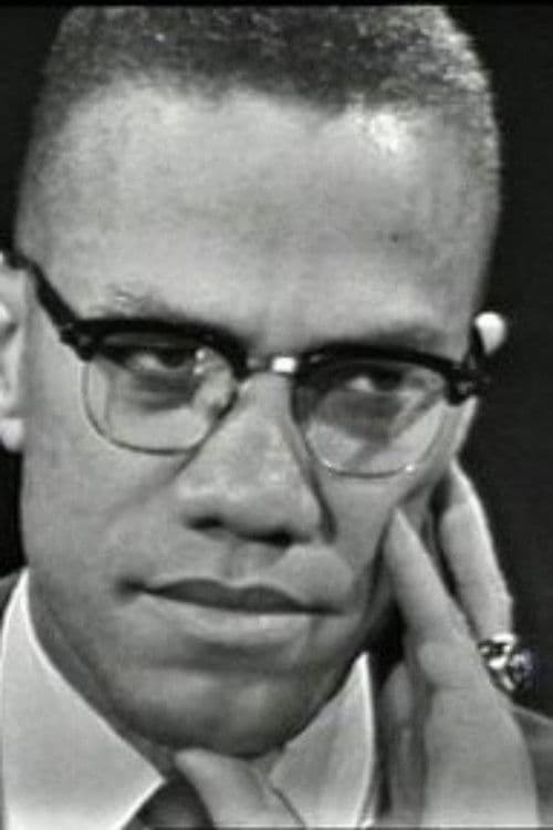 The Negro and the American Promise