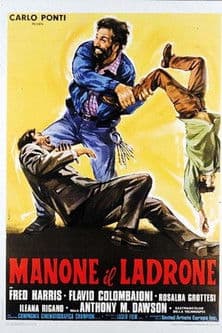 Manone il ladrone poster