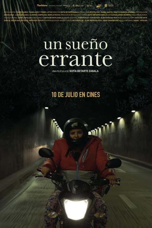 Un sueño errante poster