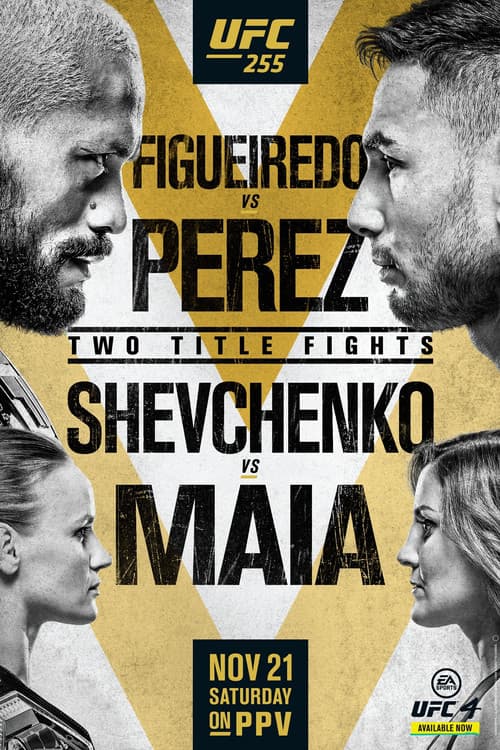 UFC 255: Figueiredo vs. Perez poster