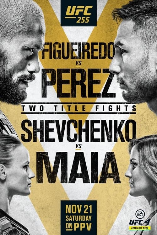 UFC 255: Figueiredo vs. Perez poster