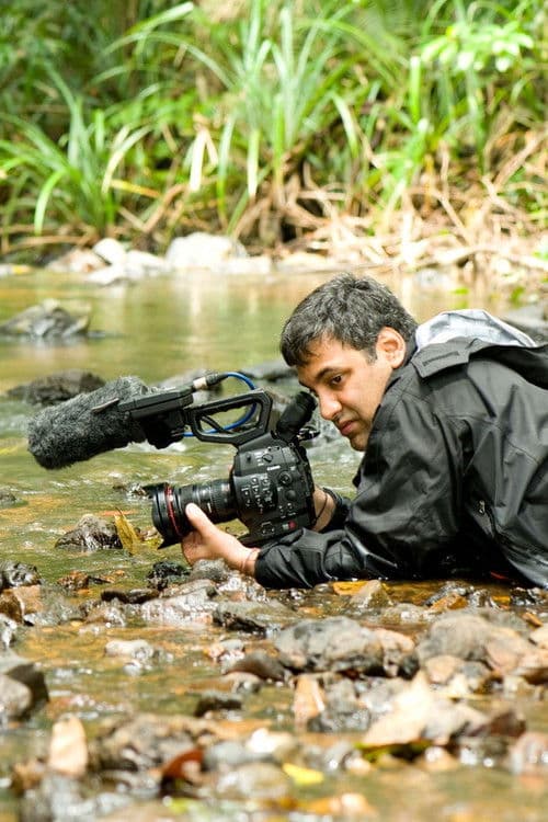 The Secret Life of Frogs poster