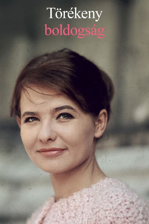 Törékeny boldogság poster