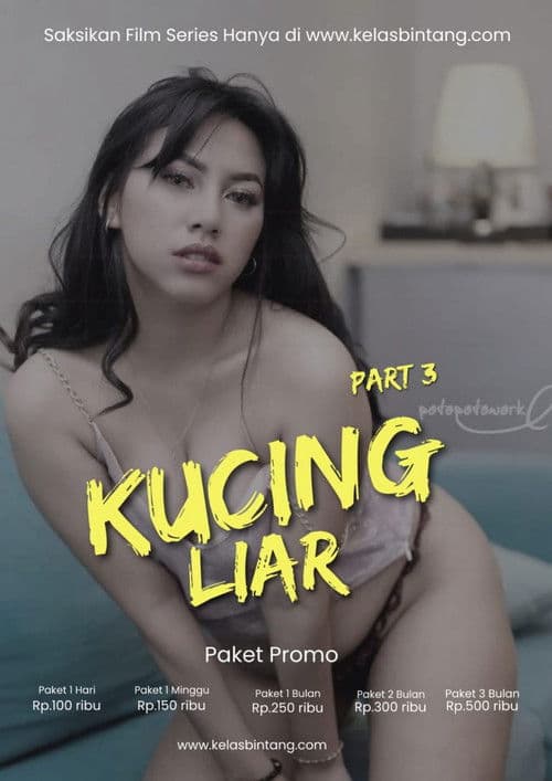 Kucing Liar Part 3 poster